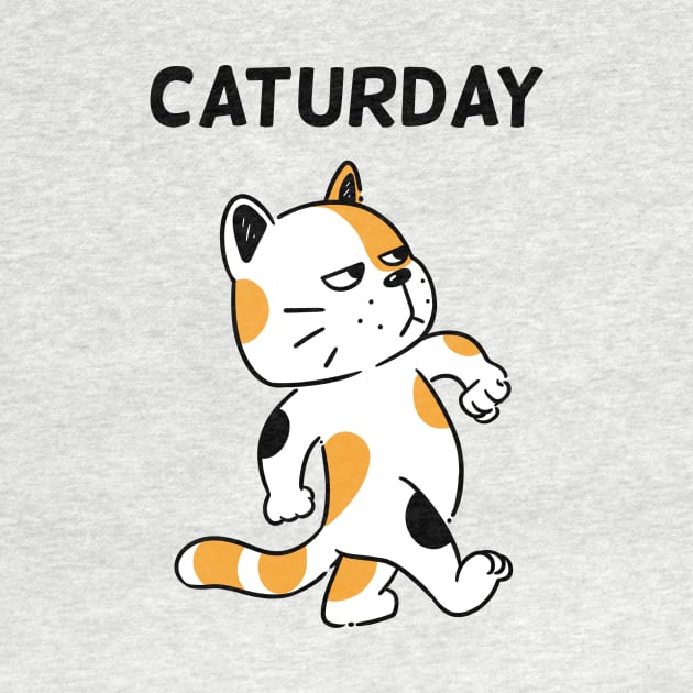 Caturday by Onefacecat